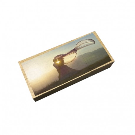 Usb Madera Rectangular Personalizado